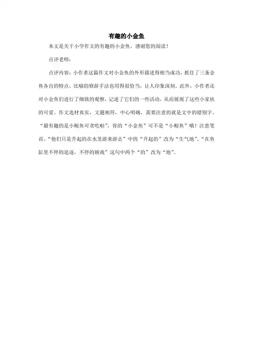 有趣的小金鱼_小学作文