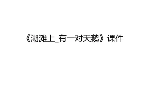 《湖滩上_有一对天鹅》课件教学内容