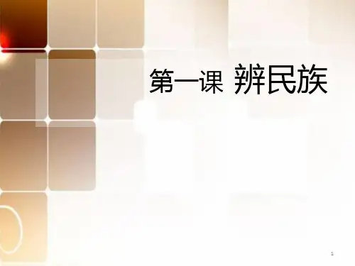 二年级人文与社会第一课__辨民族 ppt课件