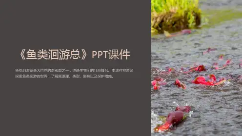 《鱼类洄游总》课件