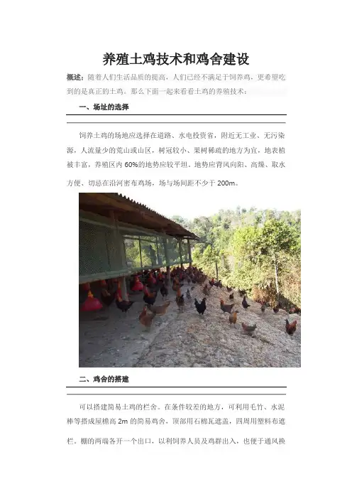 养殖土鸡技术和鸡舍建设