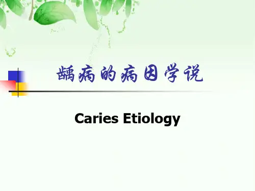 龋病病因学说讲义