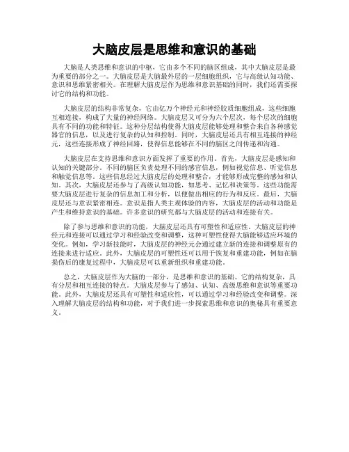 大脑皮层是思维和意识的基础