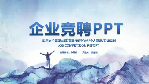 网络技术岗位竞聘演讲汇报报告PPT