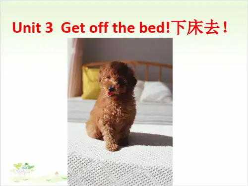 新概念英语青少版公开课-starter B Unit 3  Get off the bed!(第二课