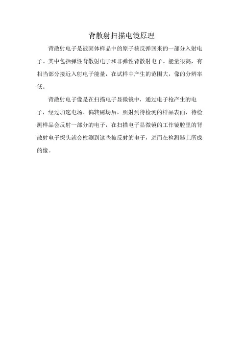 背散射扫描电镜原理