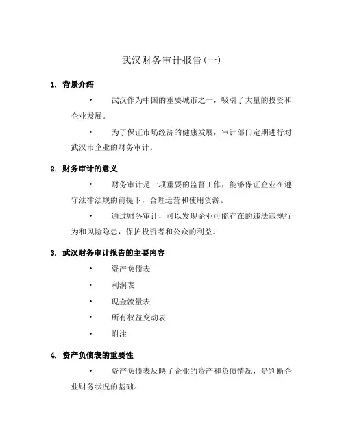 武汉财务审计报告(一)