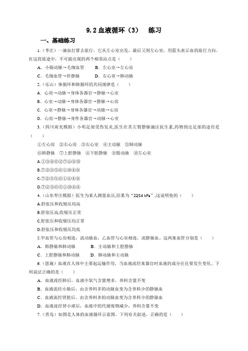 北师大版生物七年级下册血液循环(3) 同步练习