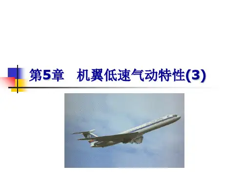 第五章机翼低速气动特性(3)PPT课件