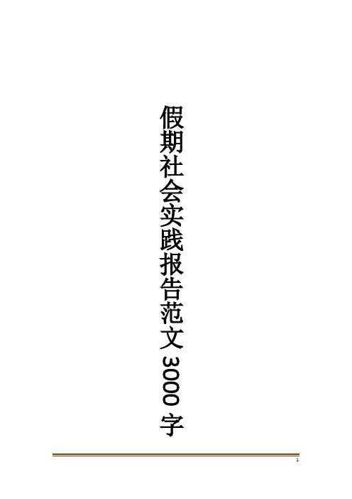 假期社会实践报告范文3000字