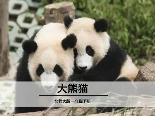 大熊猫北师大版一年级下册语文