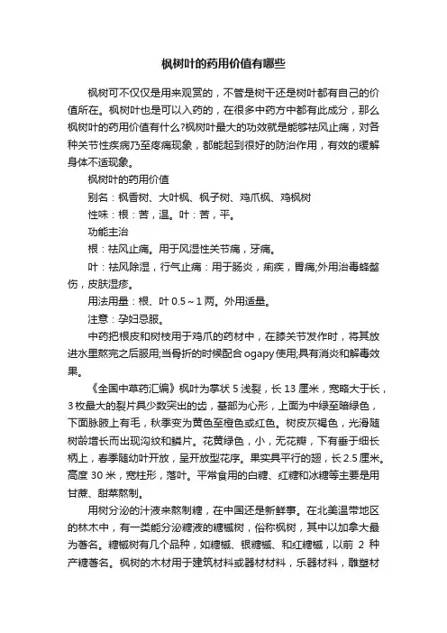 枫树叶的药用价值有哪些