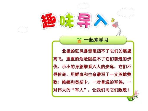 教科版五年级上册语文课件-10.鸽血染红的求救信 第1课时