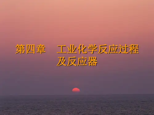 工业化学反应过程.ppt