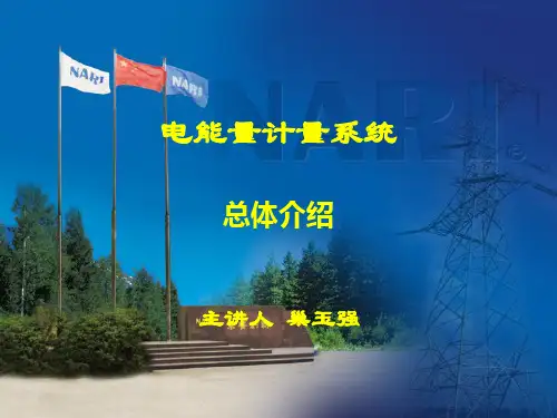 电量量计量系统总体介绍