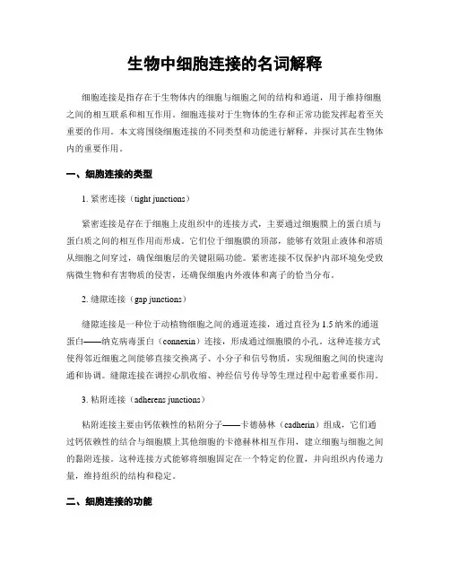 生物中细胞连接的名词解释