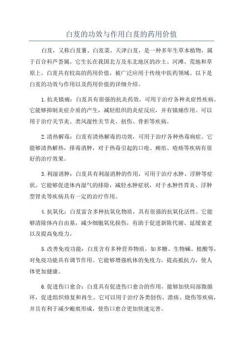 白芨的功效与作用白芨的药用价值
