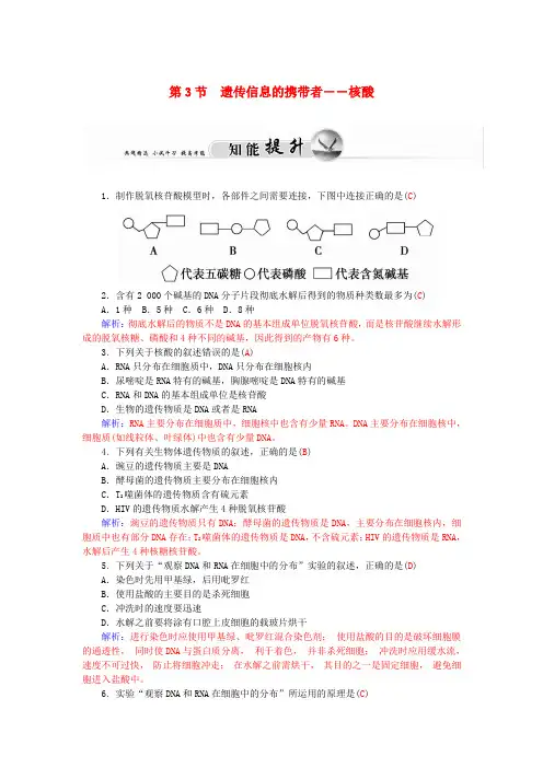高中生物2.3遗传信息的携带者-核酸知能提升新人教版必修1