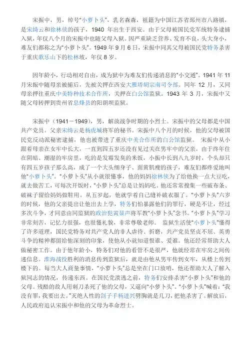 宋振中资料