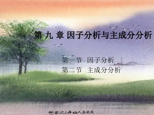 财务报表分析方法 第9章 因子分析与主成分分析.ppt