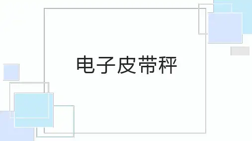 电子皮带秤