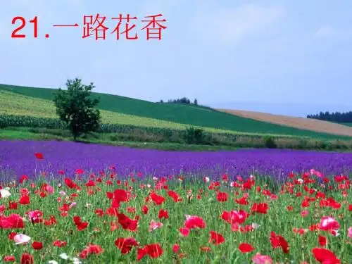 2019春新苏教版3三年级语文下册第21课《一路花香》完结版