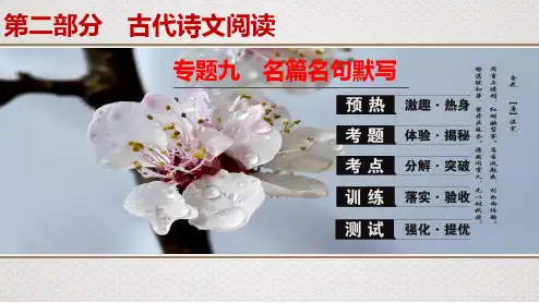新高考语文专题9 名篇名句默写