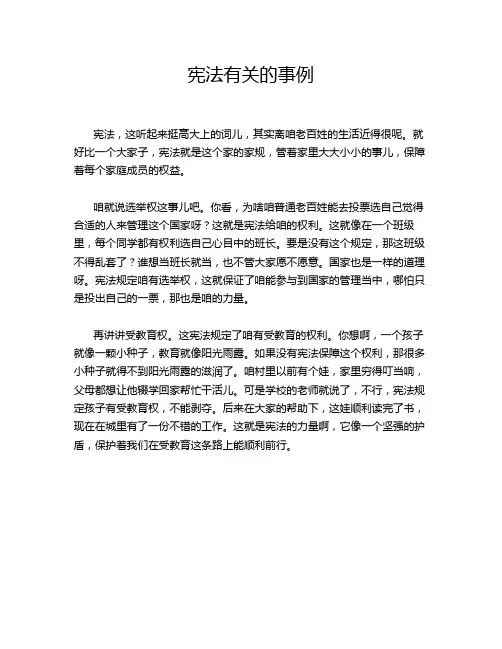 宪法有关的事例