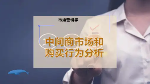中间商市场和购买行为分析