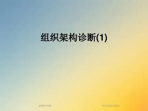 组织架构诊断(1)