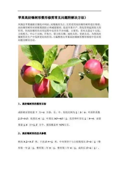 苹果高纺锤树形整形修剪常见问题附解决方法
