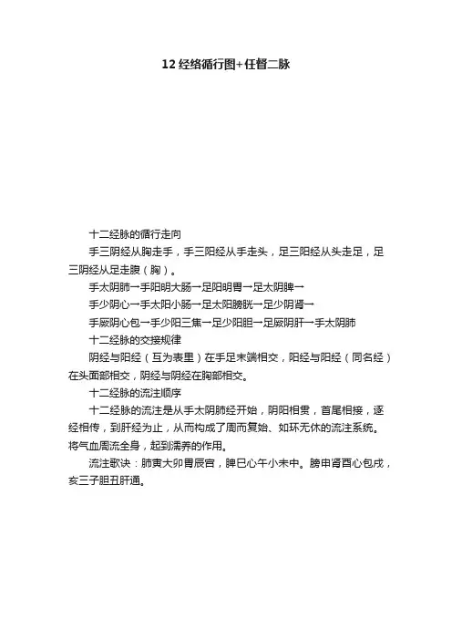 12经络循行图+任督二脉