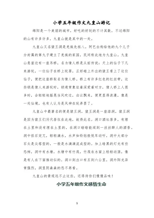 小学五年级作文九皇山游记