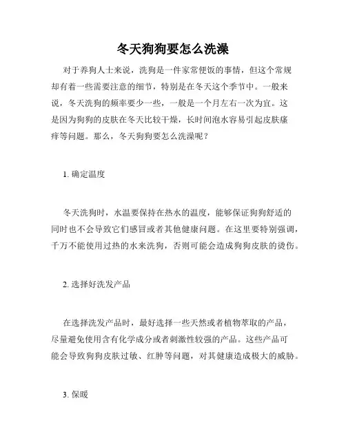 冬天狗狗要怎么洗澡