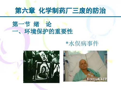 化学工艺处理制药学三废防治(新)