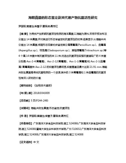 海鞘真菌的形态鉴定及其代谢产物抗菌活性研究
