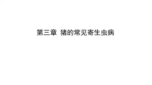 猪蛔虫病介绍