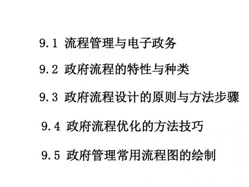 9政府流程的设计与优化