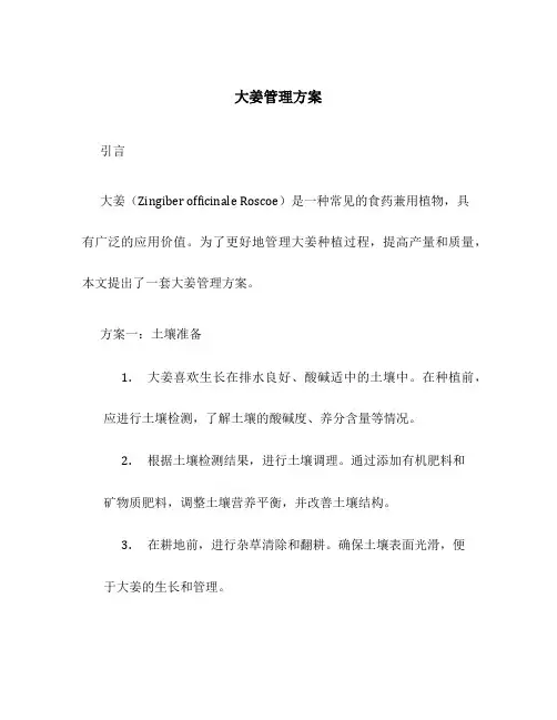 大姜管理方案