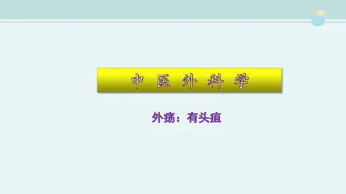 2021中医学 外疡(有头疽-外治)