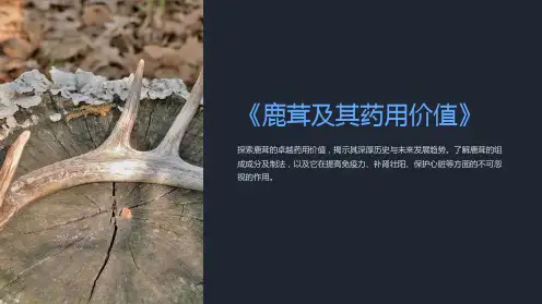 《鹿茸及其药用价值》课件