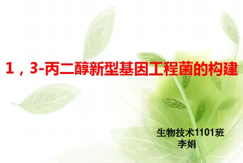 基因工程工程菌构建.ppt