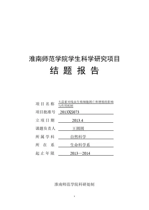 项目结题报告