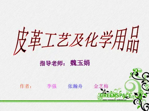 皮革工艺及化学品ppt课件