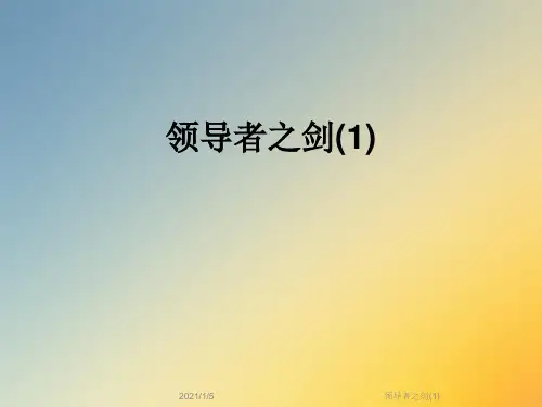 领导者之剑(1)