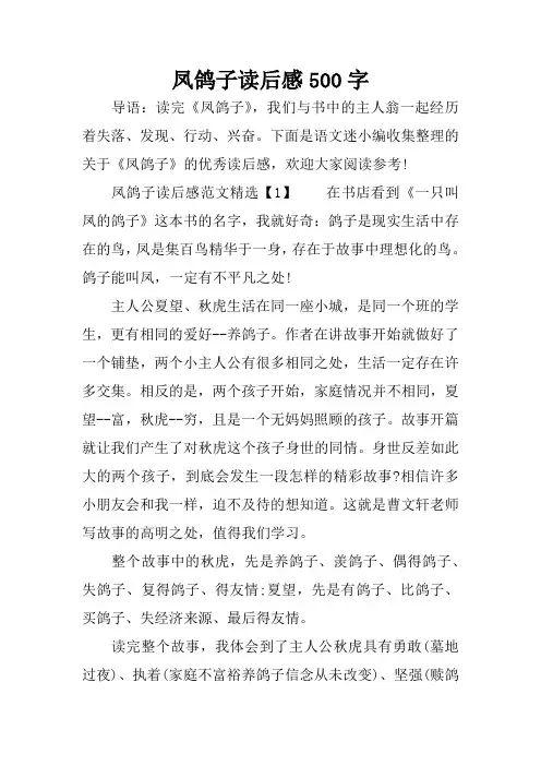 凤鸽子读后感500字