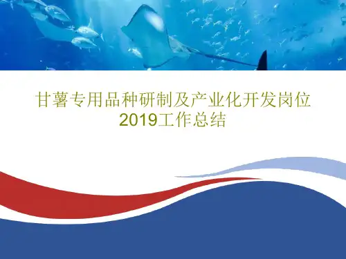 甘薯专用品种研制及产业化开发岗位2019工作总结共32页文档