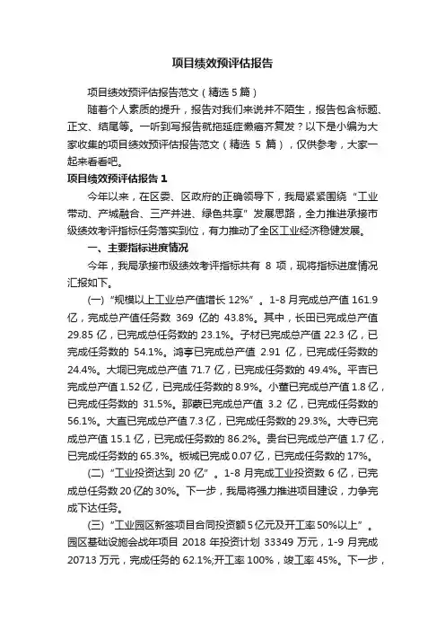 项目绩效预评估报告范文（精选5篇）