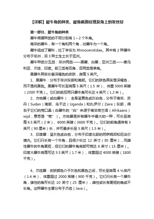【详解】犀牛角的种类、犀角截面纹理及角上的发丝纹