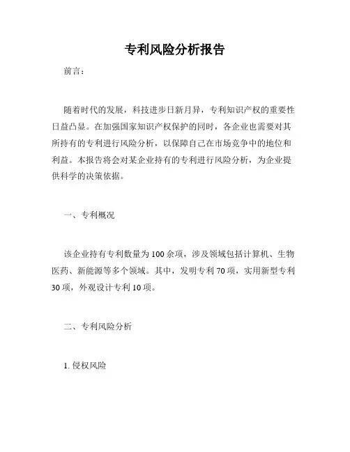 专利风险分析报告
